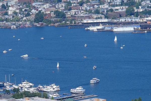 Scaled image DSC01061.JPG 