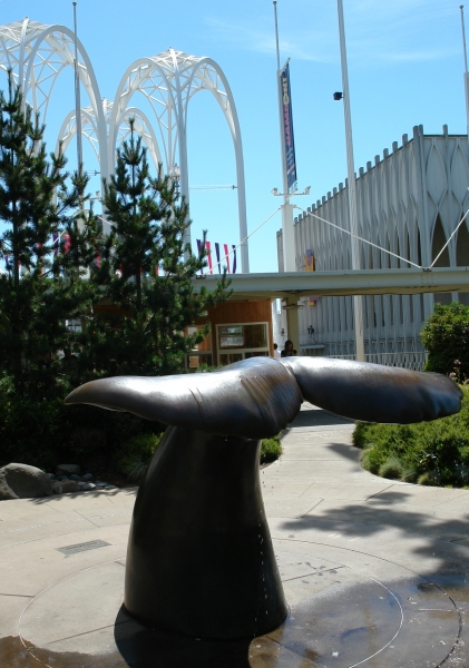 Scaled image DSC01077.JPG 