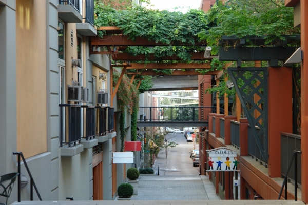 Scaled image DSC01098.JPG 