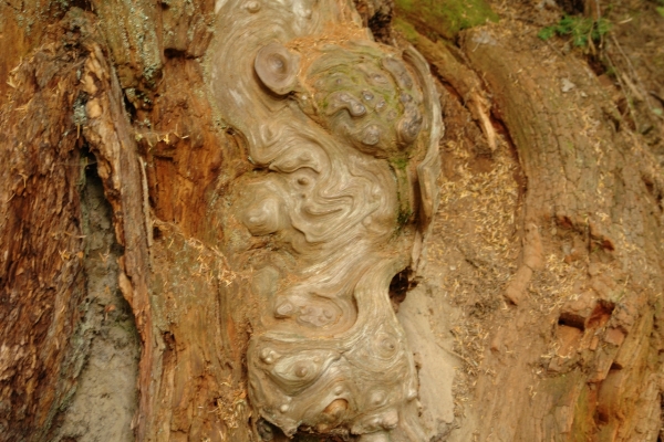 Scaled image DSC01120.JPG 