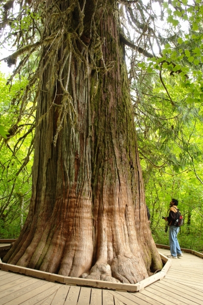 Scaled image DSC01141.JPG 