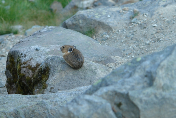 Scaled image DSC01159.JPG 