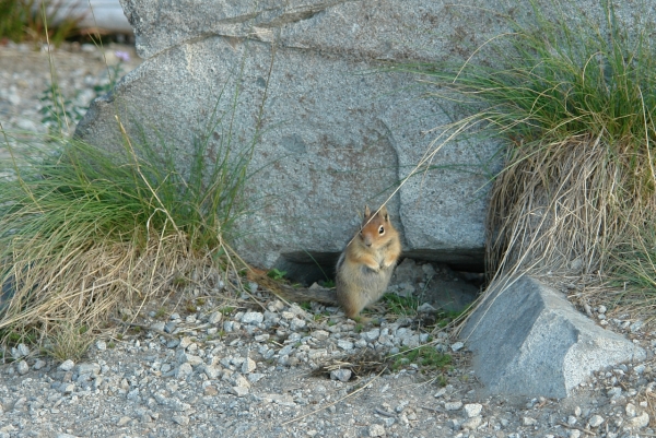 Scaled image DSC01166.JPG 