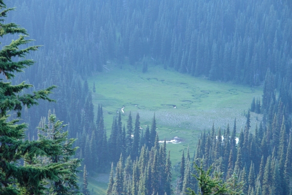 Scaled image DSC01179.JPG 