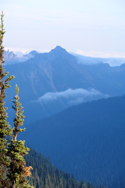 Scaled image DSC01213.JPG 