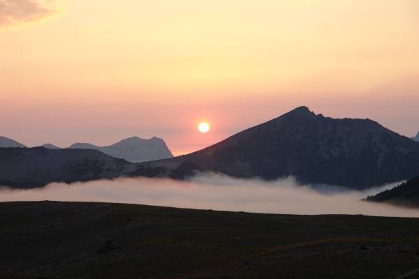 Scaled image DSC01243.JPG 