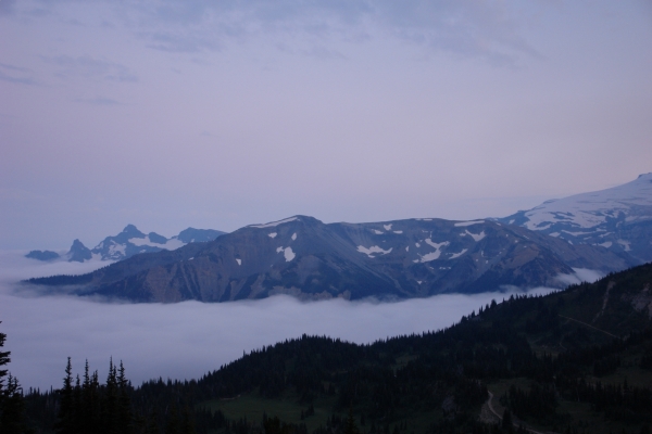 Scaled image DSC01265.JPG 