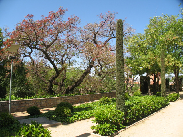 Diapositive IMG_0055.JPG 