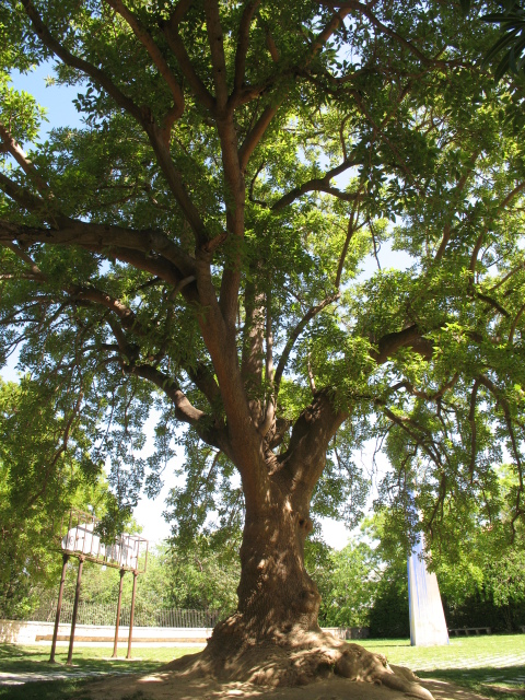 Diapositive IMG_0057.JPG 