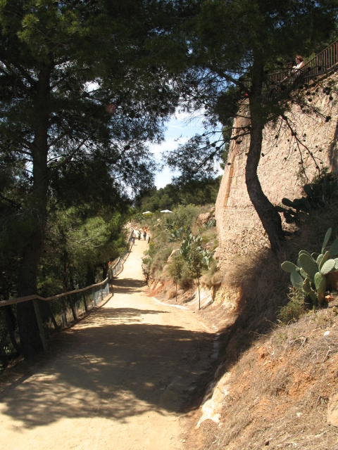 Diapositive IMG_0091.JPG 