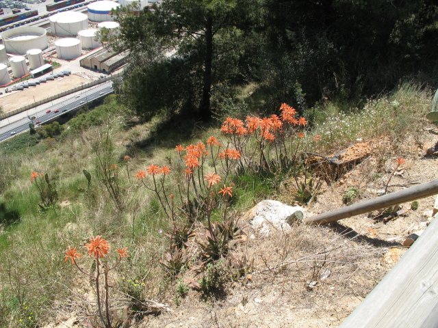 Diapositive IMG_0095.JPG 