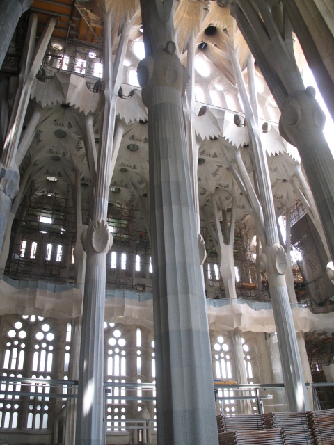 Diapositive IMG_0110.JPG 