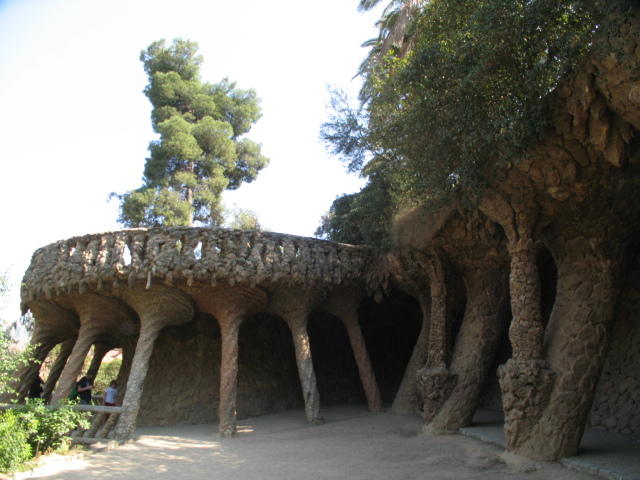 Diapositive IMG_0138.JPG 