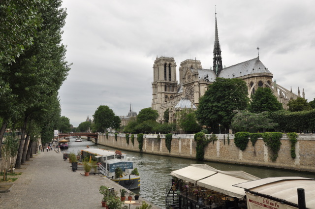 Diapositive DSC_0243.JPG 