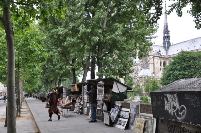 Diapositive DSC_0247.JPG 