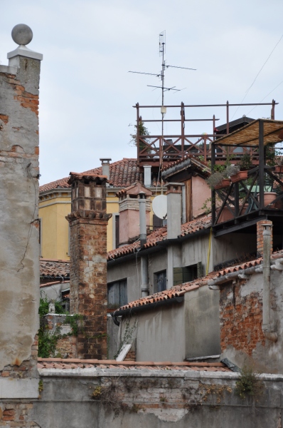 Scaled image dsc_0793.jpg 