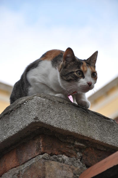 Scaled image dsc_0798.jpg 