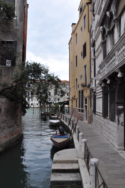 Scaled image dsc_0802.jpg 