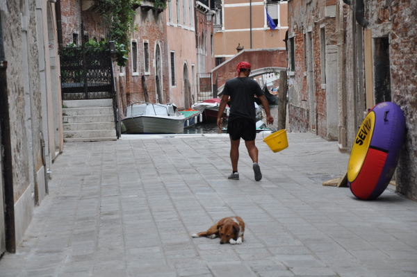 Scaled image dsc_0810.jpg 