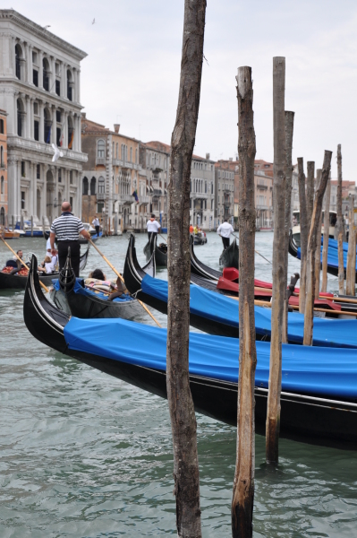 Scaled image dsc_0823.jpg 