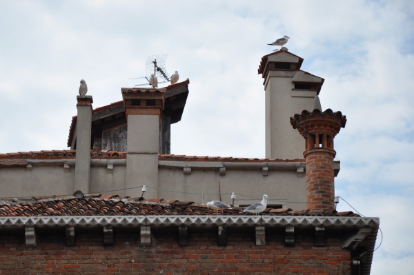 Scaled image dsc_0843.jpg 