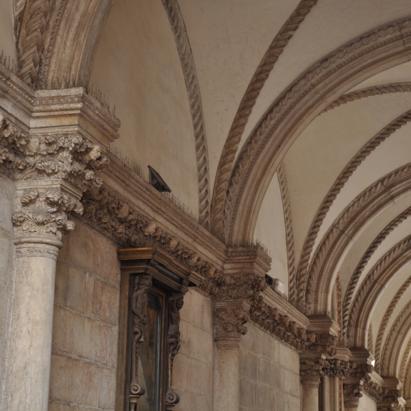 Scaled image dsc_0898m.jpg 