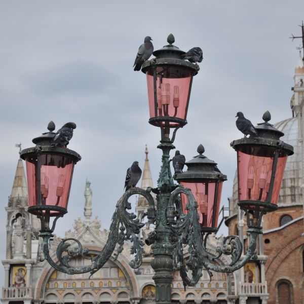 Scaled image dsc_0952m.jpg 