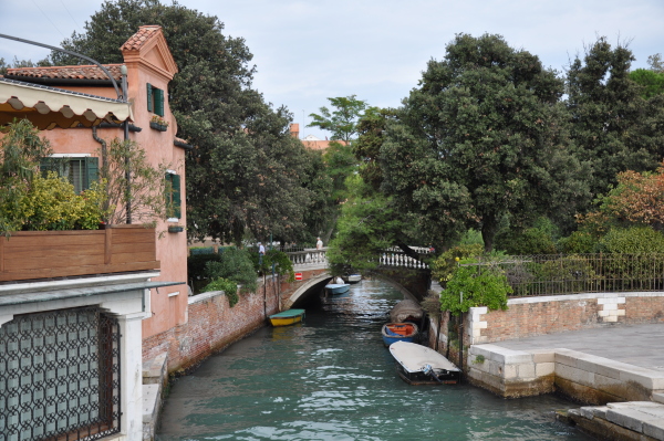 Scaled image dsc_2095.jpg 