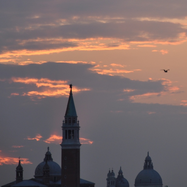 Scaled image dsc_2161mm.jpg 