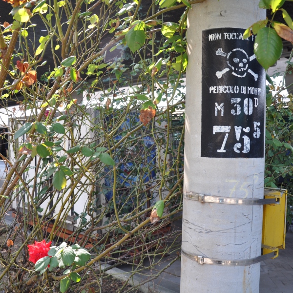 Scaled image dsc_2191.jpg 