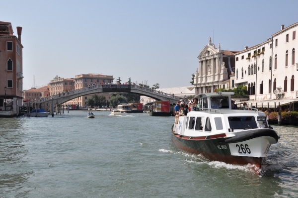 Scaled image dsc_2198.jpg 