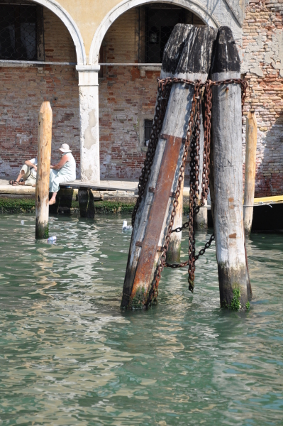 Scaled image dsc_2207.jpg 