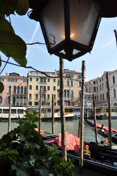 Scaled image dsc_2299.jpg 