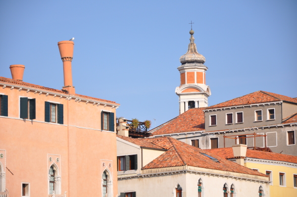 Scaled image dsc_2308.jpg 