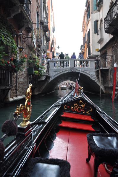 Scaled image dsc_2318.jpg 