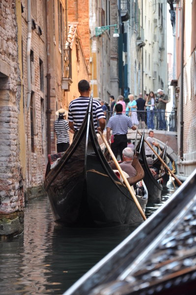 Scaled image dsc_2323.jpg 