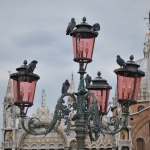 Thumbnail dsc_0952m.jpg 