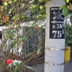 Thumbnail dsc_2191.jpg 