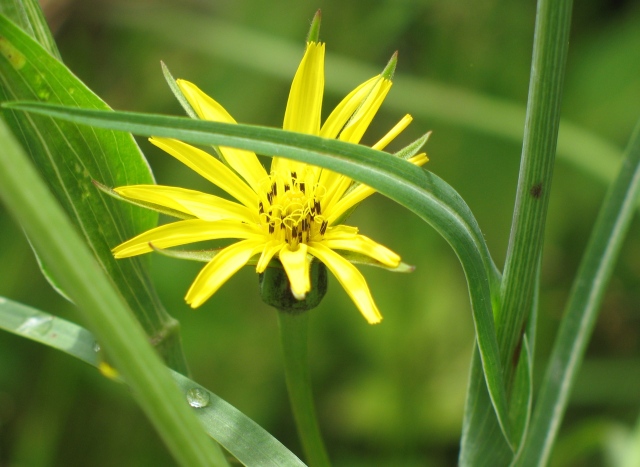 Diapositive img_0110.jpg 