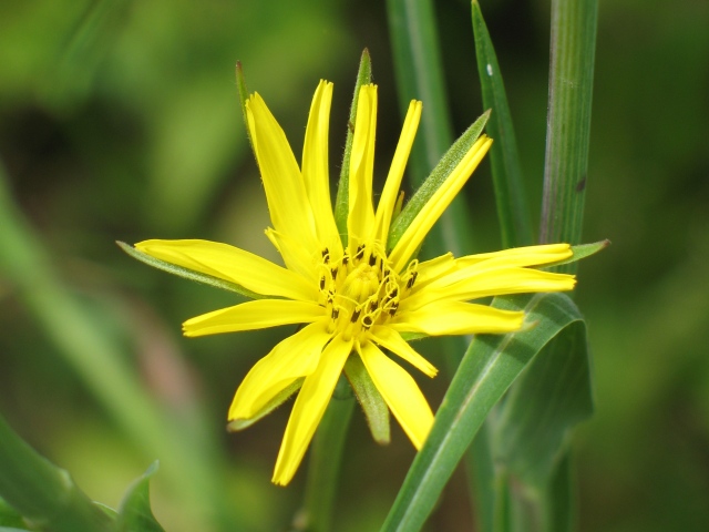 Diapositive img_0113.jpg 