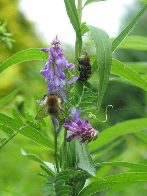 Diapositive img_0114.jpg 