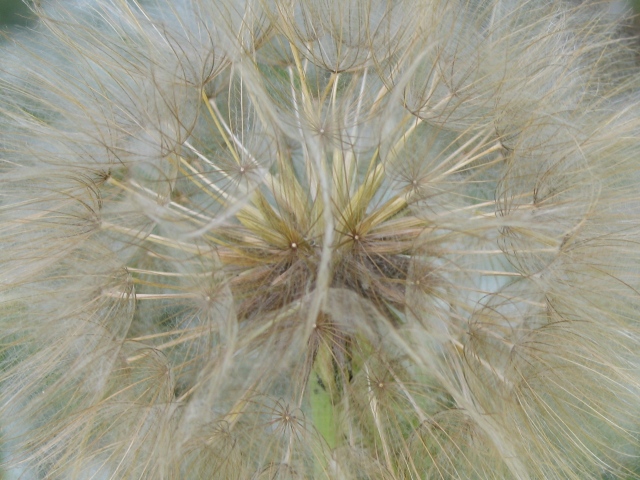 Diapositive img_0207_1.jpg 