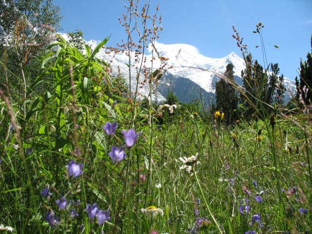 Diapositive img_0214.jpg 