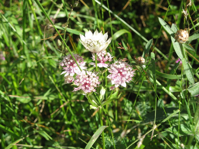 Diapositive img_0346.jpg 