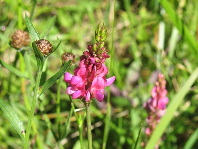 Diapositive img_0348_1.jpg 