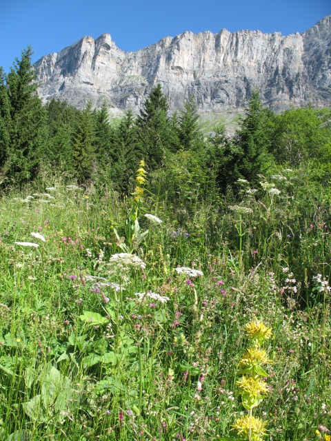 Diapositive img_0351.jpg 