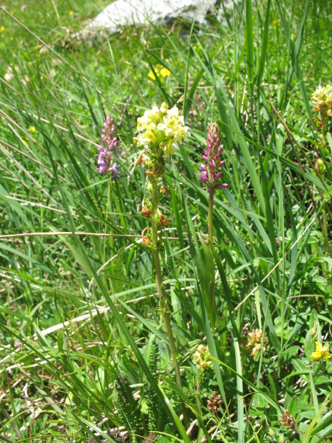 Diapositive img_0374.jpg 