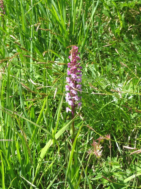 Diapositive img_0379_1.jpg 