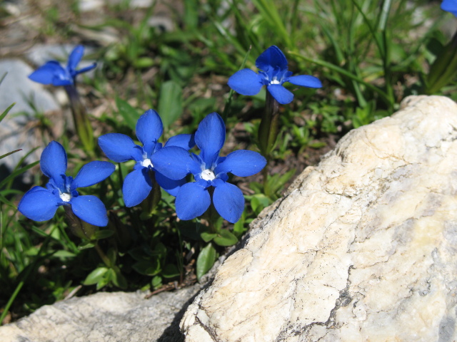 Diapositive img_0388.jpg 