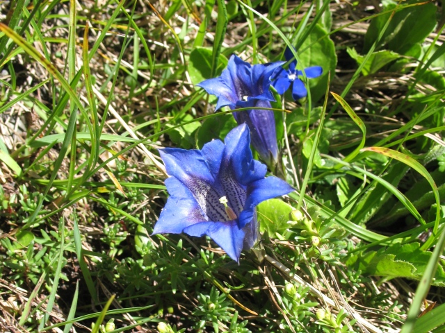 Diapositive img_0393.jpg 